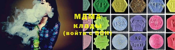 индика Великий Новгород