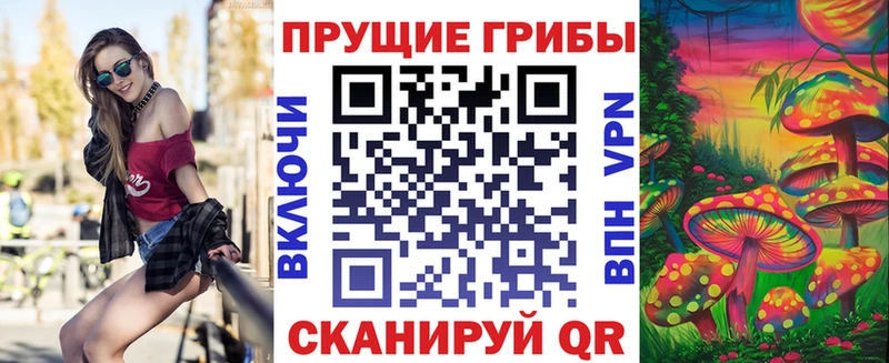 Псилоцибиновые грибы Magic Shrooms  Купить закладки  Нововоронеж 
